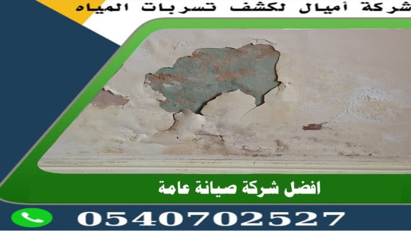 شركة معالجة الرطوبة بجدة