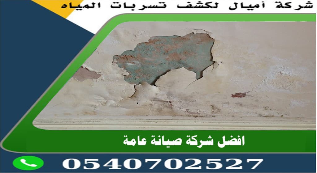 شركة معالجة الرطوبة بجدة
