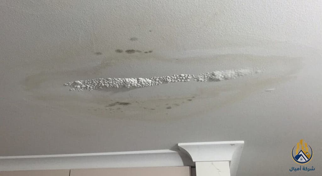 التخلص من الرطوبه داخل الجدران